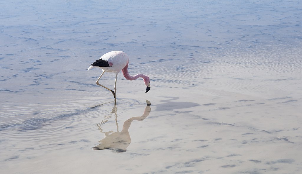 San Pedro de Atacama