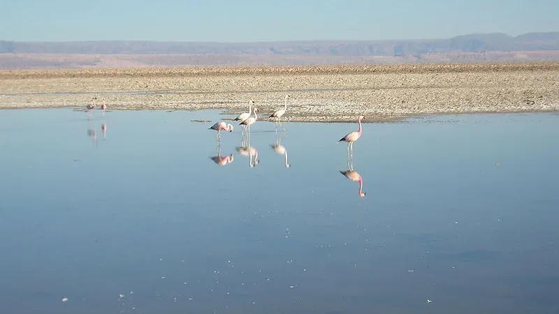 Atacama Salar
