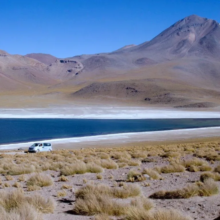 Lagunas altiplánicas Miscanti y Miñiques