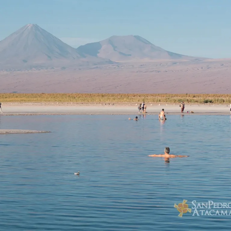Laguna Cejar