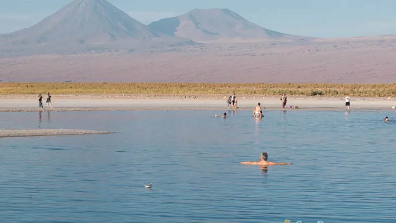 Laguna Cejar