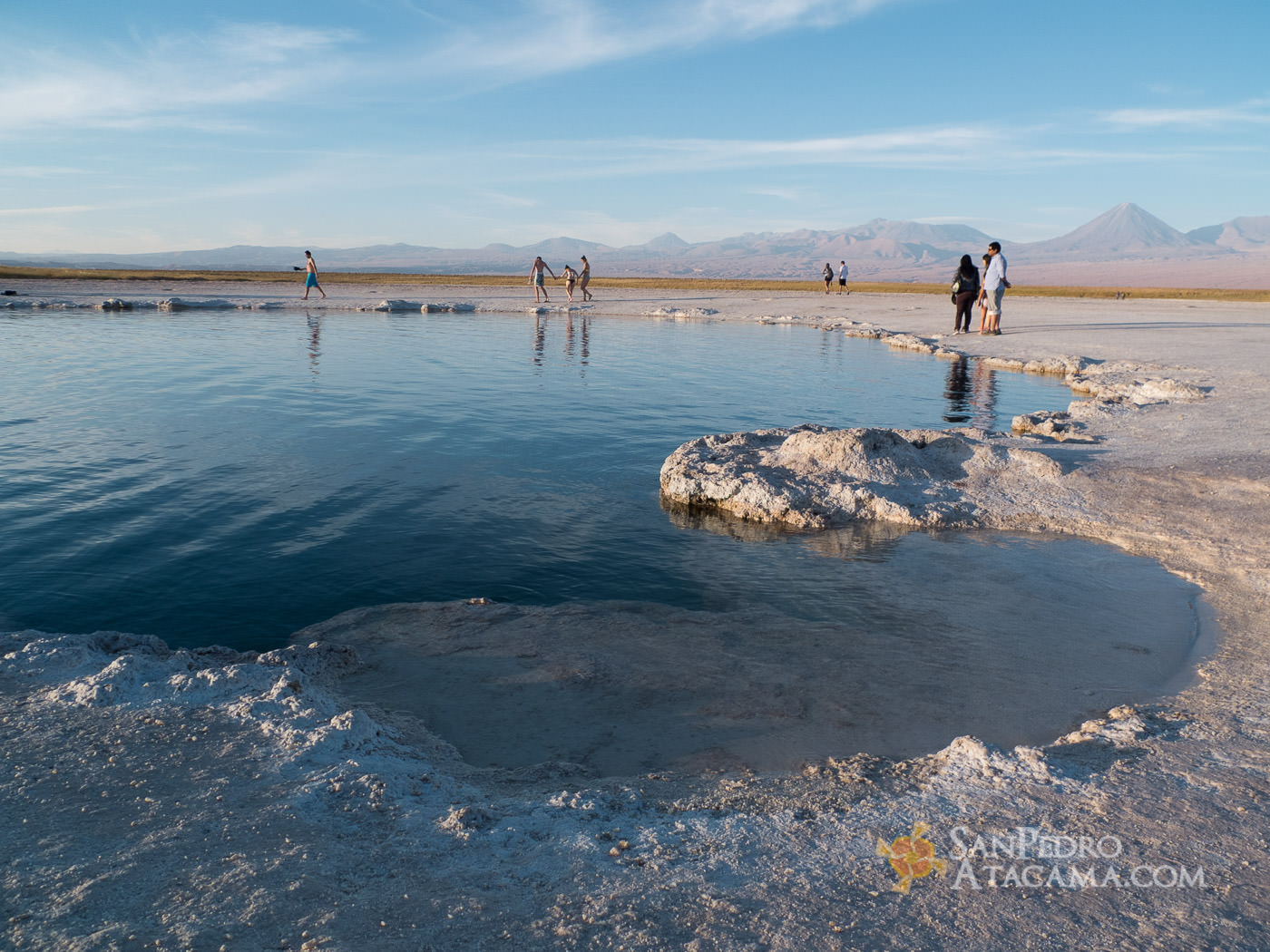 Laguna Cejar