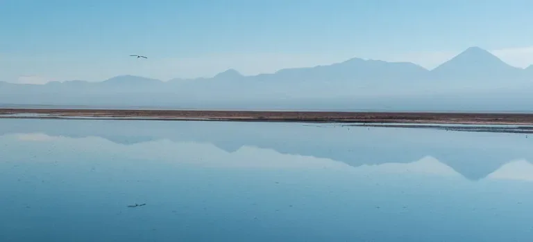 Laguna Chaxa