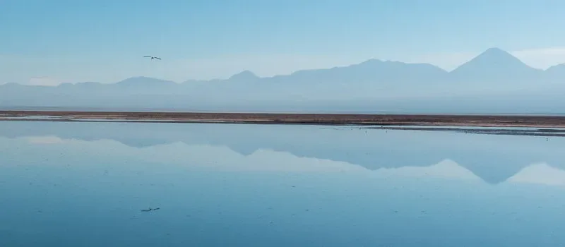 Laguna Chaxa