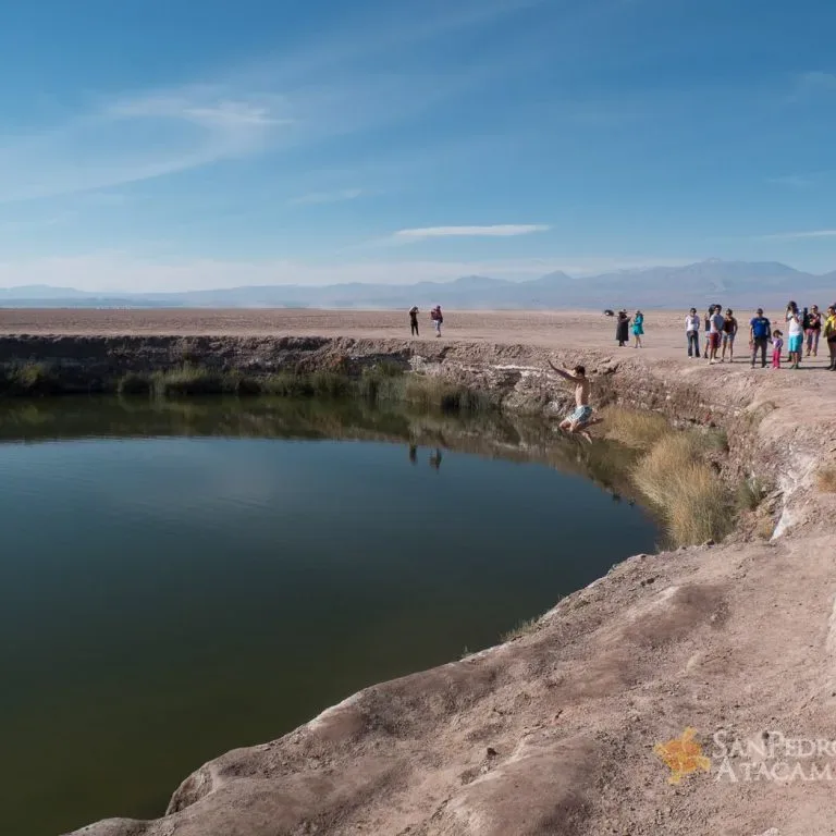 Ojos del Salar (Olhos do Salar)