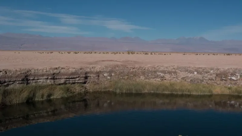 Ojos del Salar (Olhos do Salar)
