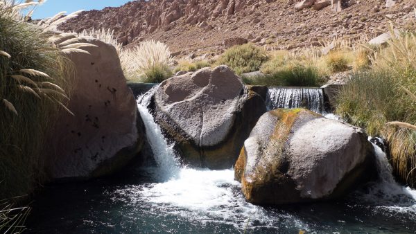 Puritama Spring Waters and Quebrada de Guatin