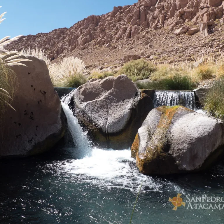Termas de Puritama y Quebrada de Guatin