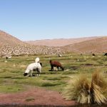 Aldeia das montanhas Machuca