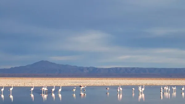 Atacama Salar