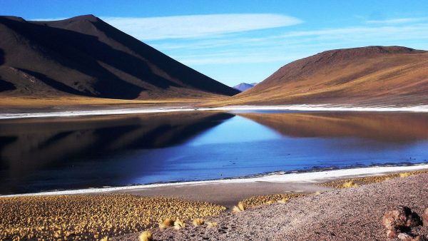 Altiplanic Lagoons and Piedras Rojas Viewpoint