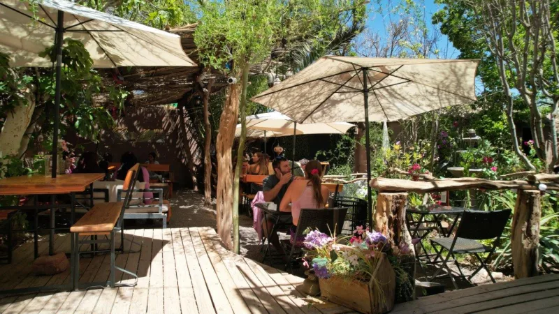 Jardín Meraki