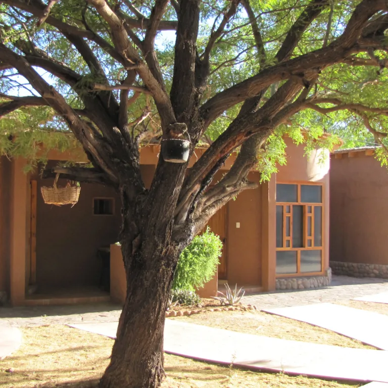 Rent a House & Suites San Pedro