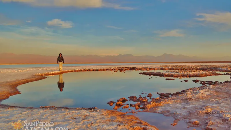Vive Atacama – Private Tours