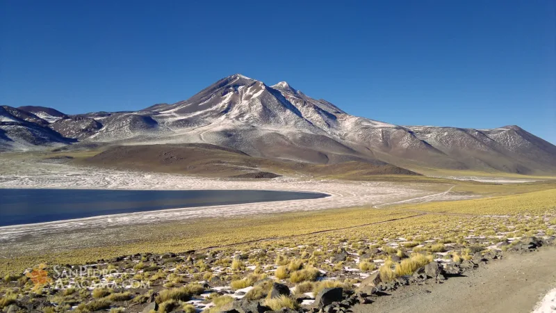 Vive Atacama – Private Tours