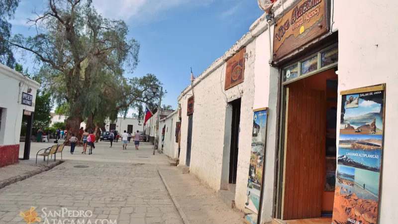 Vive Atacama – Private Tours