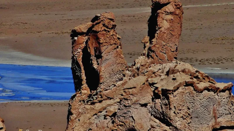 Vive Atacama – Private Tours