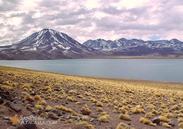 Vive Atacama – Private Tours