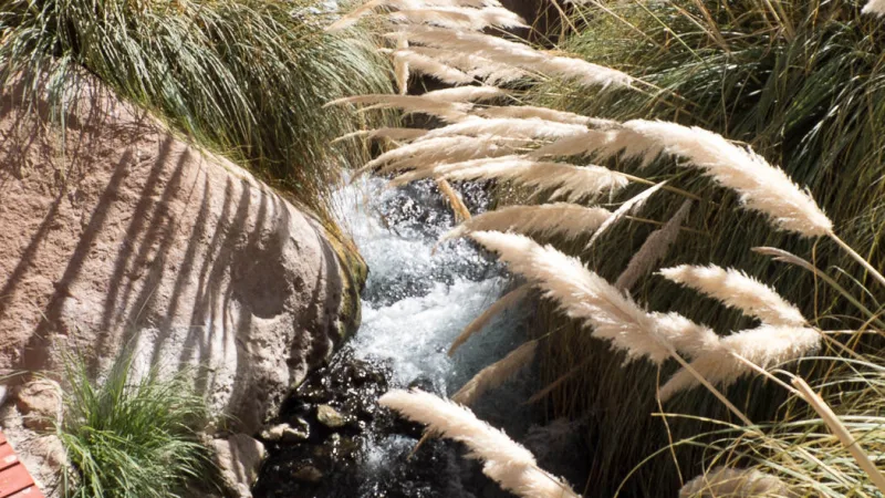 Termas de Puritama