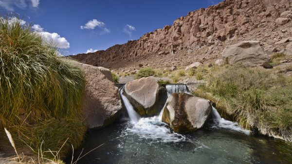 Termas de Puritama (Traslado ida y vuelta)