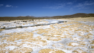 Río Salado con orillas cubiertas de sal blanca, vegetación desértica y montañas al fondo bajo un cielo azul despejado.