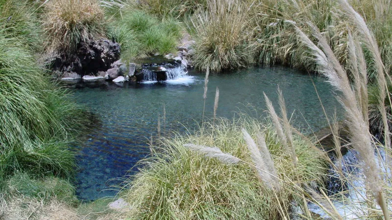Termas de Puritama