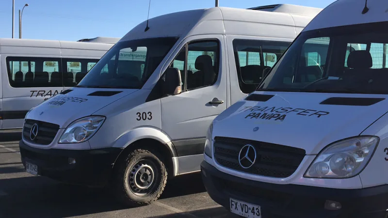 Tres minibuses blancos Mercedes-Benz de Transfer Pampa estacionados, numerados 301, 302 y 303, bajo cielo despejado.