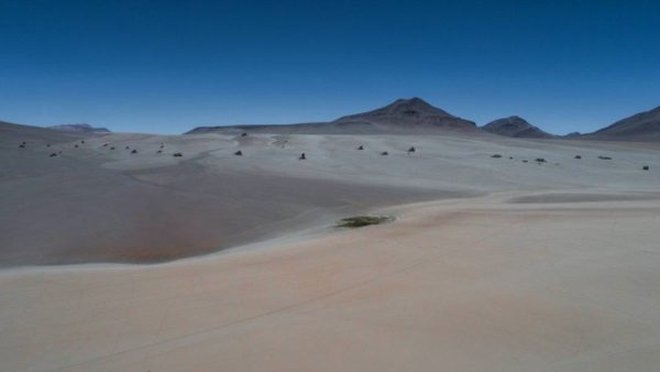 Deserto Salvador Dalí