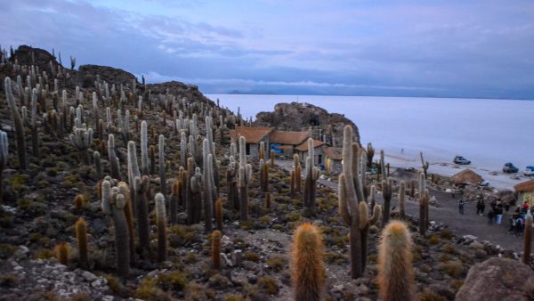 Ilha Incahuasi