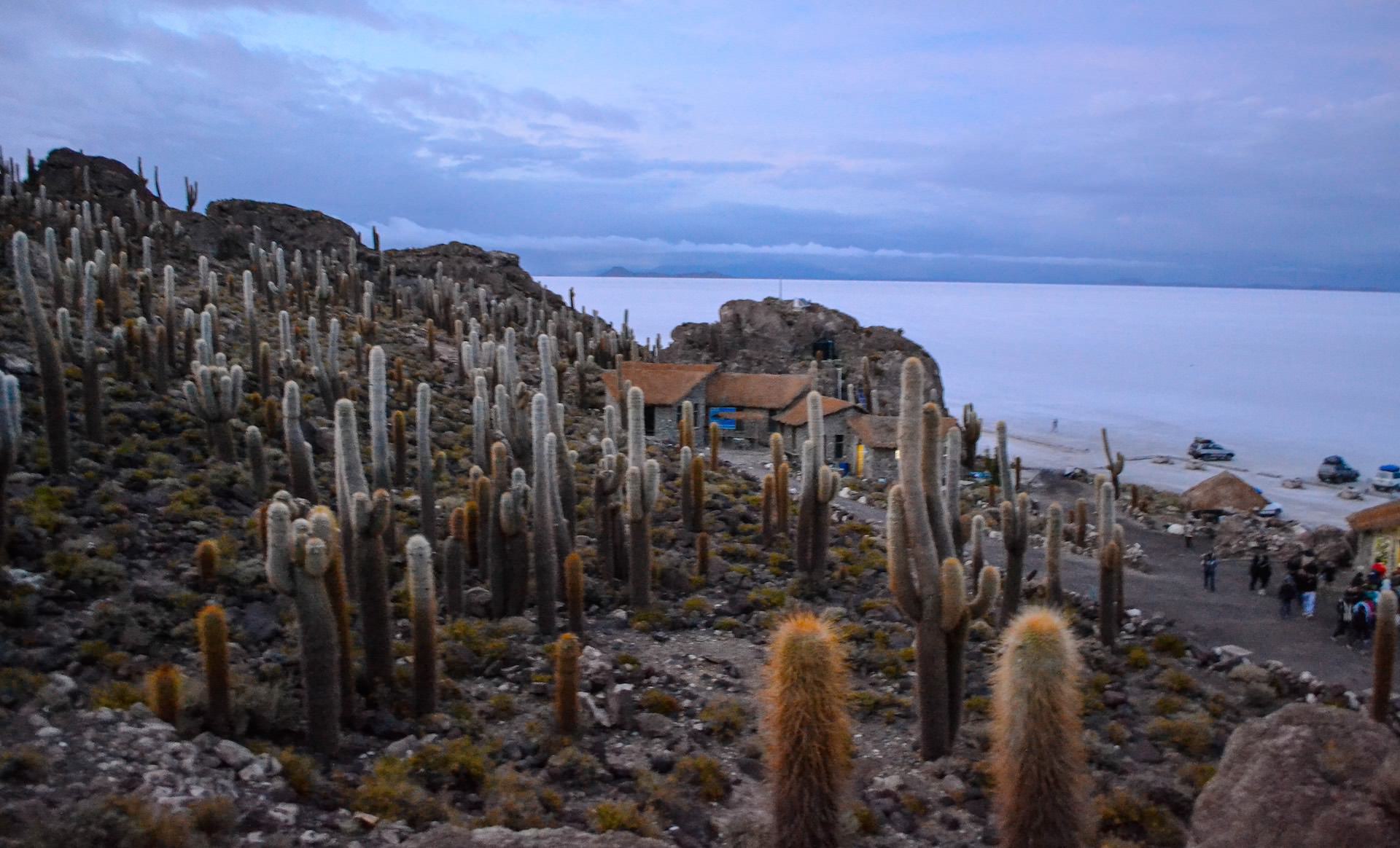 Isla Incahuasi - San Pedro Atacama