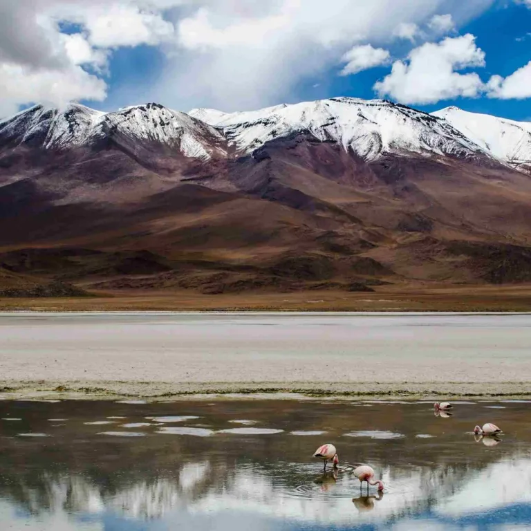 Bienvenido a San Pedro de Atacama