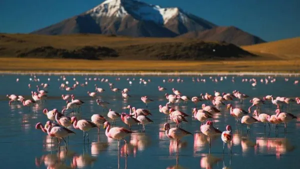 Sunway Atacama