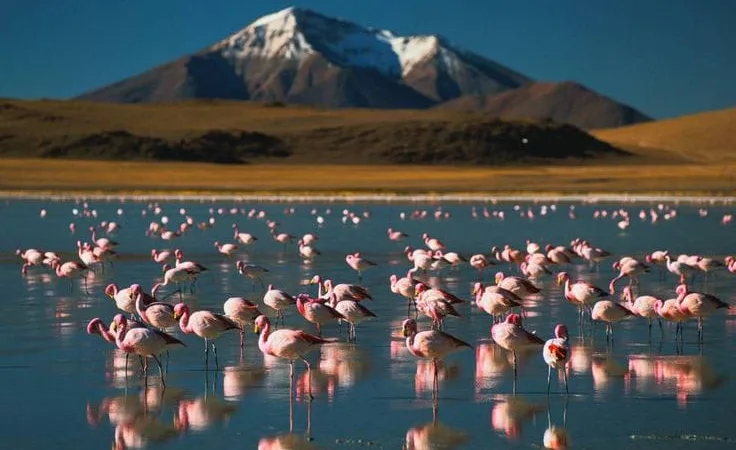 Sunway Atacama