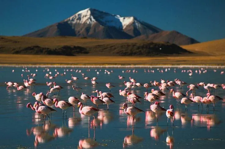 Sunway Atacama