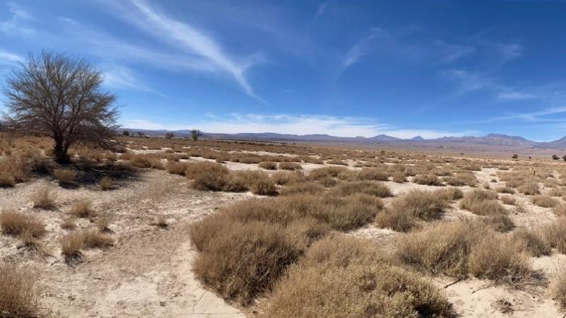 Atacama Propiedades