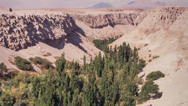 Quebrada de Jeré