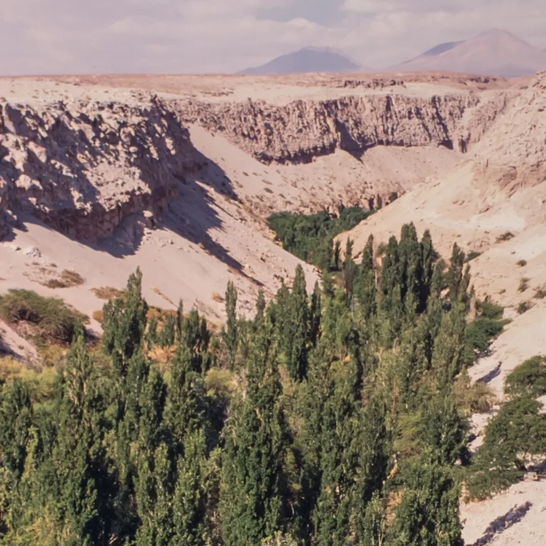 Quebrada de Jere