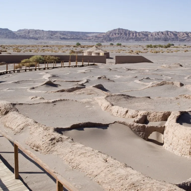Tour Arqueológico (lunes a viernes)