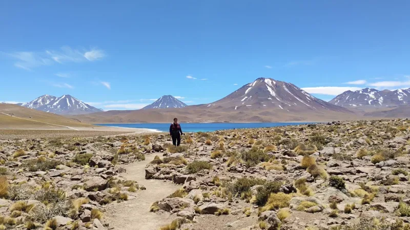 Hiker on a rocky Atacama Desert trail with a turquoise lagoon and snow-capped volcanoes under a clear blue sky