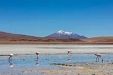Laguna Hedionda