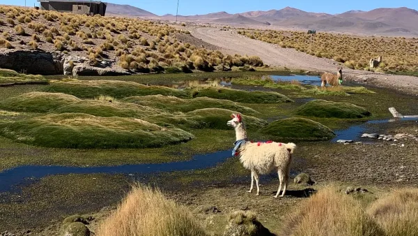 Uyuni Luxury Express